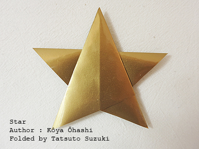 Photo Origami Star, Author : Koya Ohashi, Folded by Tatsuto Suzuki